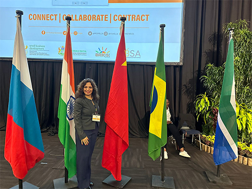 Brics summit in Johannesburg 2023 as a delegate